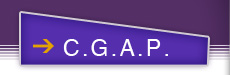 C.G.A.P.