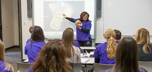 A woman in scrubs teaches at the front of a class, holding a model of a human head.
