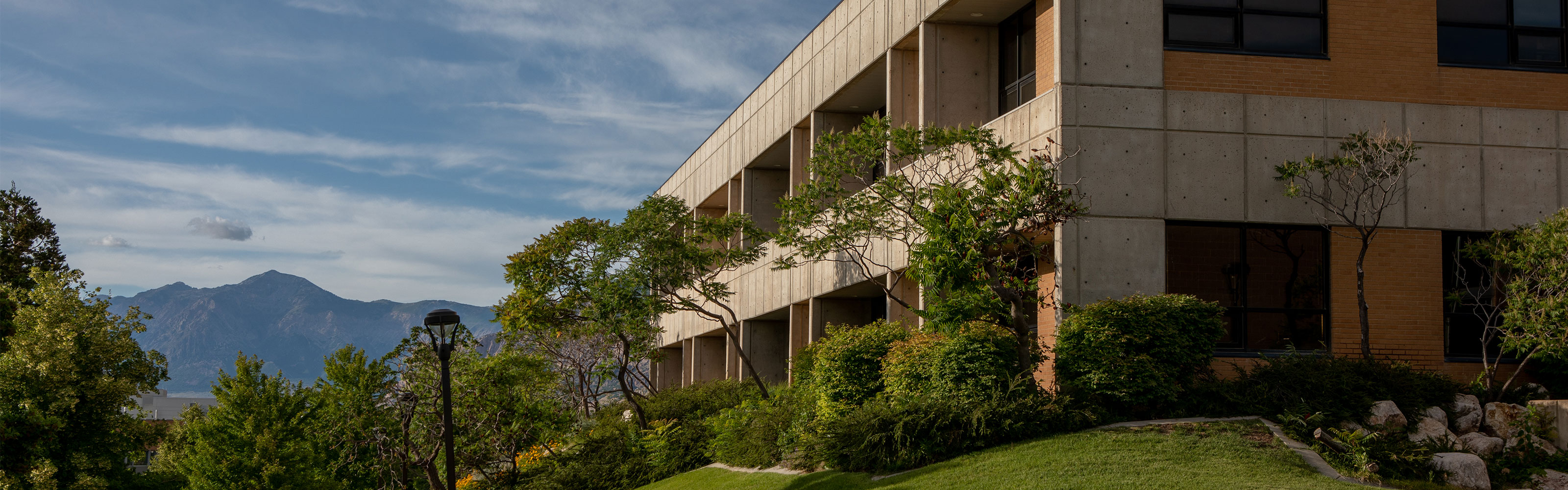 Admissions Advising Banner