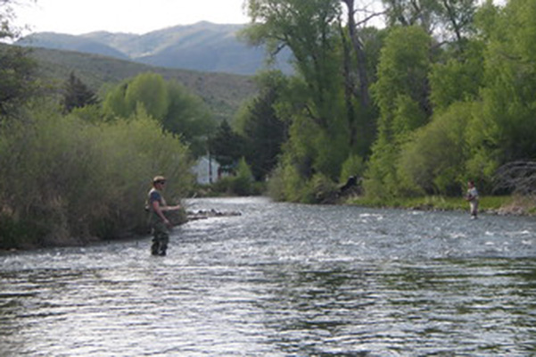 Person fishing in a river